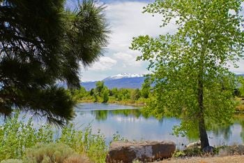 Mountain views